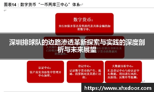 深圳排球队的边路渗透革新探索与实践的深度剖析与未来展望